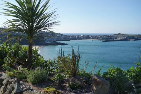 Grey Mullet Guest House St Ives Esterno foto